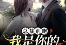 小說《總裁別跑，我是你的命定女人》在線章節閱讀-極品小說