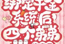 小說《綁定千金系統後四個弟弟追來了》在線章節閱讀-極品小說