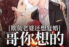 哪裡可以免費找到欺負老婆還想復婚，哥你想的太美了？-極品小說