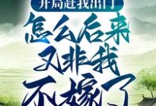 開局趕我出門，怎麼後來又非我不嫁了？這本小說怎麼樣？免費在線閱讀試試-極品小說