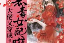 完結版《快穿：大佬又穿成惡毒女配啦！》章節閱讀-極品小說