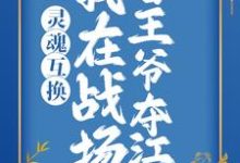 小說《靈魂互換：我在戰場替王爺奪江山》章節免費閱讀-極品小說