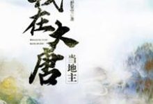 《我在大唐當地主》小說薛平陳雨凝章節章節免費在線閱讀-極品小說