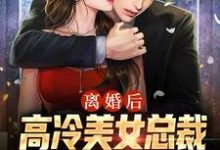 已完結小說《離婚後，高冷美女總裁跪求複合》在線章節閱讀-極品小說