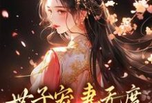 小說《世子寵妻無度：棄婦翻身記》在線章節閱讀-極品小說