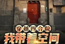 完結版《穿越四合院，我帶著空間來致富》章節閱讀-極品小說