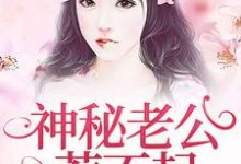 小說《神秘老公惹不起》在線章節閱讀-極品小說