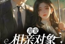 季晴程緒小說甜寵：相親對象是甲方大佬章節免費閱讀-極品小說