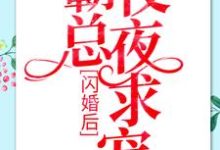 小說《閃婚後：霸總夜夜求寵》在線章節閱讀-極品小說