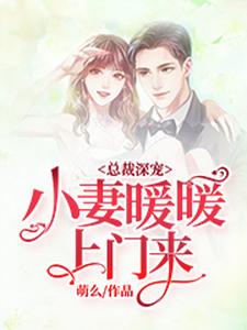 《總裁深寵：小妻暖暖上門來》小說章節列表免費試讀，沈暖風傅霆深沈婉茹何春華小說在線閱讀