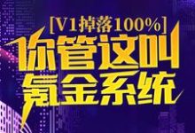 小說《v1掉落100%，你管這叫氪金系統？》在線章節閱讀-極品小說