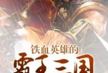 鐵血英雄的霸王三國小說有沒有完結版在線？-極品小說