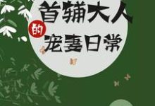 哪裡能找到首輔大人的寵妻日常小說的全部章節？-極品小說