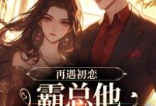 完結版《再遇初戀，霸總他追女好心機》章節閱讀-極品小說