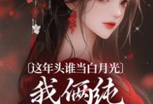 《這年頭誰當白月光，我倆純純走劇情》小說溫沅李昭章節章節免費在線閱讀-極品小說