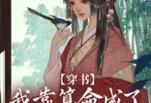 《穿書：我靠算命成了修真界萬人迷》全集免費在線閱讀（凌秀秀葉雪塵）-極品小說