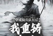 完結版《穿成騎兵隊長後，我重鑄大唐英魂》章節目錄在線閱讀-極品小說