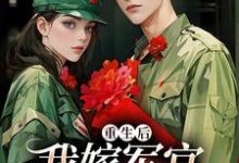 小說《重生後我嫁軍官享蜜寵》完整版在線章節免費閱讀-極品小說