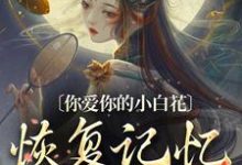 江祈寧小說免費閱讀完整版-極品小說