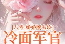 小說《八零：嬌嬌腰太軟，冷麵軍官淪陷了》完整版章節免費閱讀-極品小說