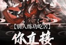 葉休完整版《別人練功吃苦，你直接速通高武？》小說免費閱讀-極品小說