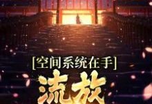 已完結小說《空間系統在手，流放帝王不愁》章節在線閱讀-極品小說