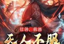 完結版《仗劍，載酒，天人不服先斬翻》章節閱讀-極品小說