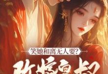 已完結小說《笑她和離無人要？改嫁皇叔走上人生巔峰》在線章節閱讀-極品小說