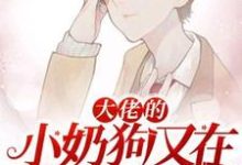 小說完整版《大佬的小奶狗又在鬧離婚》免費閱讀-極品小說