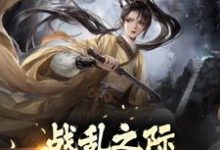 完結版《戰亂之際，我靠軍功為王》章節閱讀-極品小說