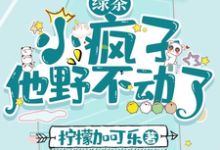 已完結小說《綠茶小瘋子他野不動了》章節在線閱讀-極品小說