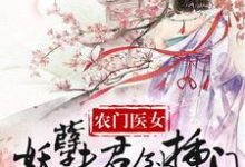 農家醫女：妖孽夫君倒插門夏雲枝小說免費閱讀-極品小說