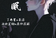 丁冉星欒涇小說《港眠》在線閱讀-極品小說