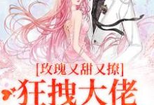 完結版《玫瑰又甜又撩，狂拽大佬只想要名分》章節閱讀-極品小說