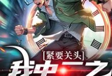 完結版《緊要關頭，我中二之魂覺醒了》章節閱讀-極品小說