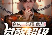 完結版《穿成一隻貓，我卻覺醒超級軍工系統》章節閱讀-極品小說