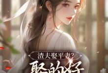 《渣夫娶平妻？娶的好，下次別再娶了》全集免費在線閱讀（韋映璇宋拓）-極品小說