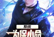 已完結小說《系統：為保小命，給兒子們全附魔》章節在線閱讀-極品小說