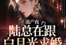 完結版《流產夜，陸總在跟白月光求婚，我不幹了》章節閱讀-極品小說