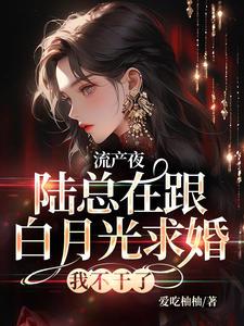 完結版《流產夜，陸總在跟白月光求婚，我不幹了》章節閱讀