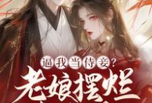 《逼我當侍妾？老孃擺爛享太廟》完整版小說免費閱讀-極品小說