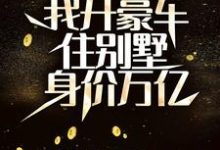 陸淵小說完整版《分手後，我開豪車住別墅身價萬億》免費閱讀-極品小說