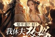 小說《娶平妻？好！我休夫改嫁王爺給你看》完整版在線章節免費閱讀-極品小說