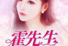 《霍先生，離婚吧》完整版小說免費閱讀-極品小說