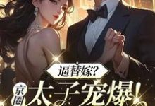 完結版《逼替嫁？京圈太子寵爆！全家悔哭》章節閱讀-極品小說