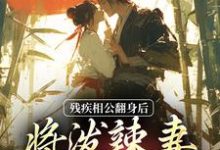 司念沐修年完整版小說免費閱讀-極品小說