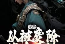 李玄霄完整版小說《無敵，從被廢除修為開始》免費閱讀-極品小說