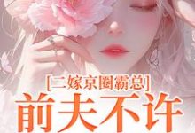 小說完整版《二嫁京圈霸總，前夫不許來搗亂》免費閱讀-極品小說