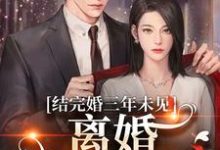 免費看結完婚三年未見，離婚他急紅眼小說的網站有哪些？-極品小說