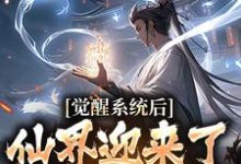 完結版《覺醒系統後，仙界迎來了互聯網時代》章節目錄在線閱讀-極品小說